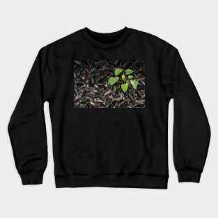 Gun Violence Hope Concept as gun shells with a green sapling growing as inspirational surreal art Crewneck Sweatshirt